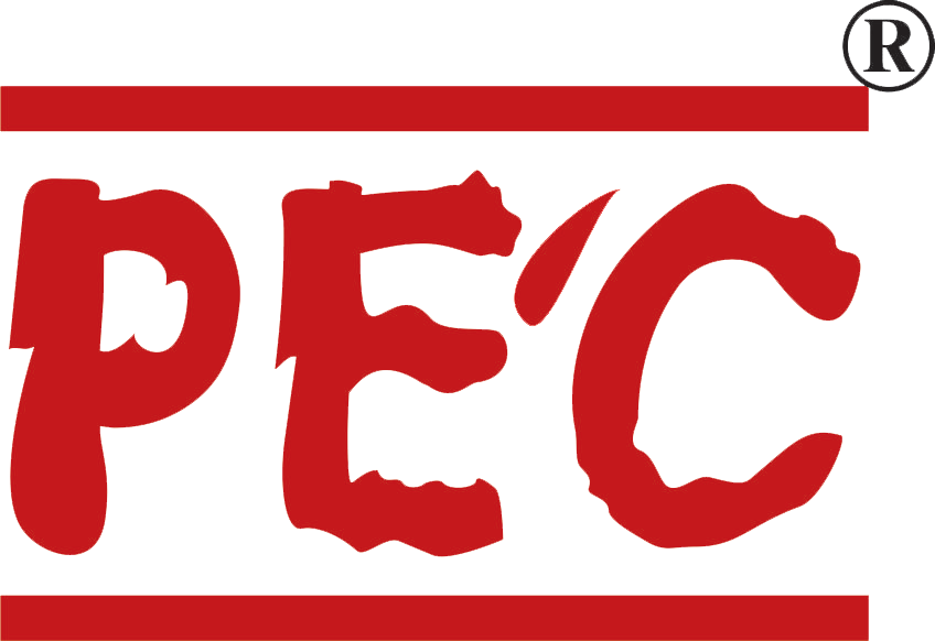 logo pec 1
